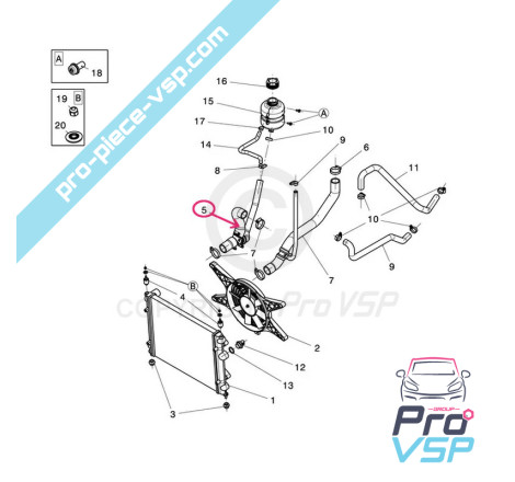 Upper hose