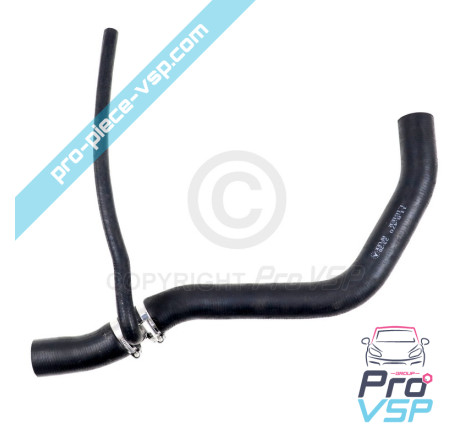 Lower hose