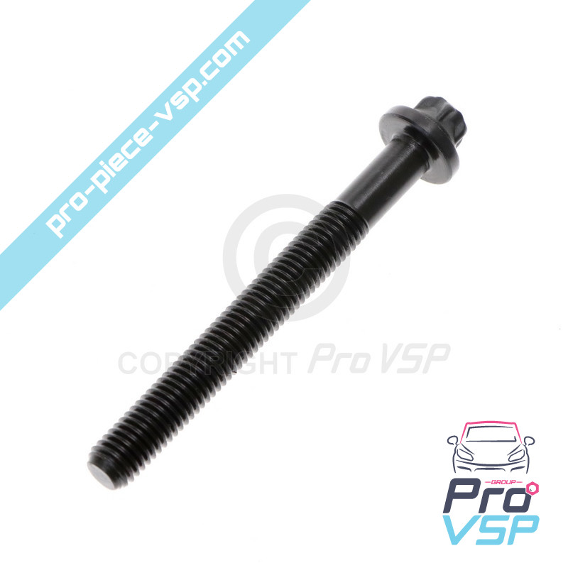 Cylinder head screw