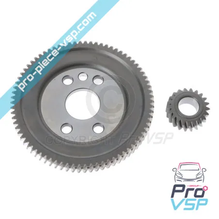 Kit Corona + Piñón