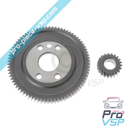 Kit Corona + Piñón