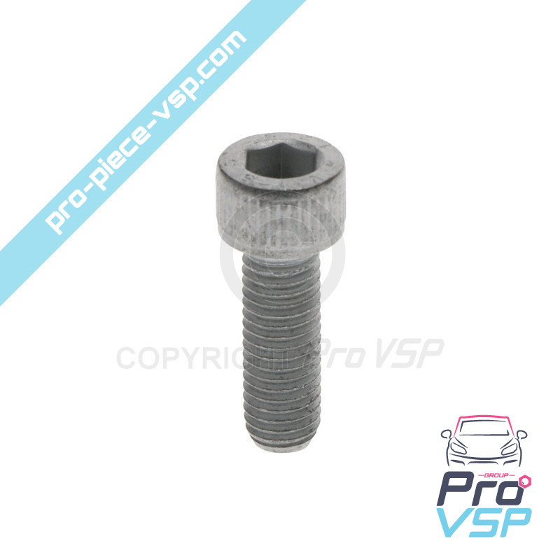 Vis de fixation démarreur pour moteur Lombardini Focs Progress 502 523