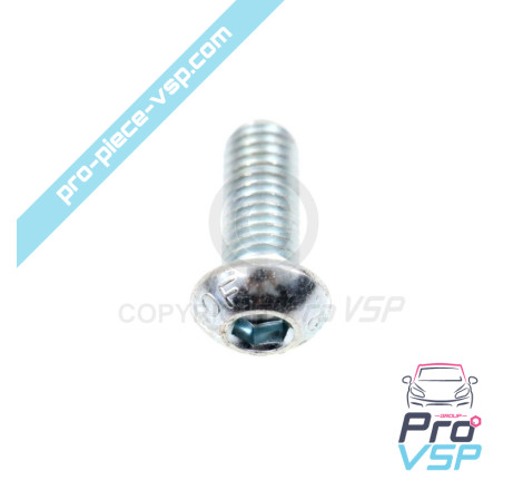 Hanging bolt fastening screw