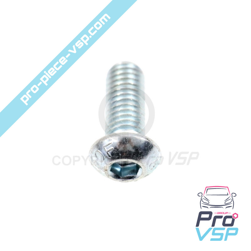 Hanging bolt fastening screw