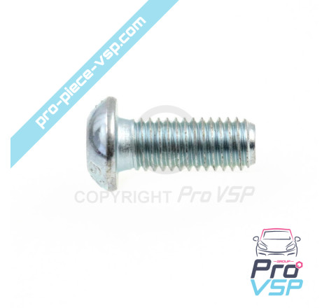 Hanging bolt fastening screw