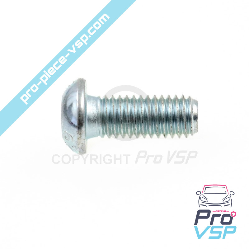 Hanging bolt fastening screw