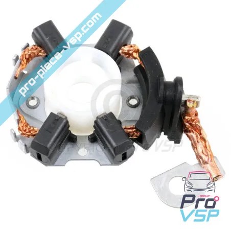 Broom door for starter Lombardini DCI