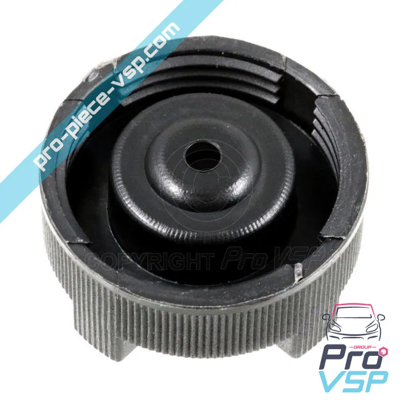 Tampa de tanque de expansão para a tag microcar bellier