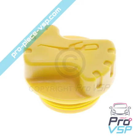 Capacul umplerii motorului Lombardini DCI 492