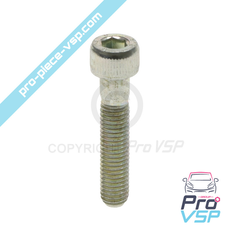 Vis de support de poulie de ventilation pour moteur Lombardini Focs 502 523