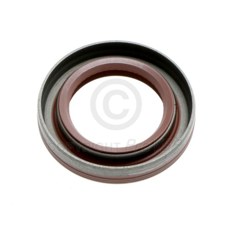 SPI Joint Cylinder Head Lombardini dci