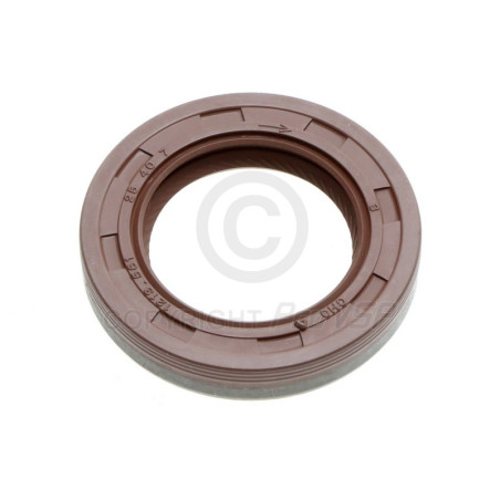 SPI Joint Cylinder Head Lombardini dci