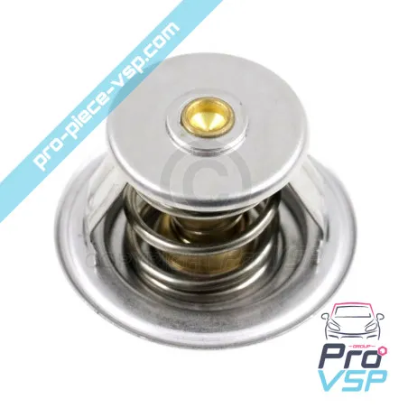 Thermostat adaptable moteur lombardini