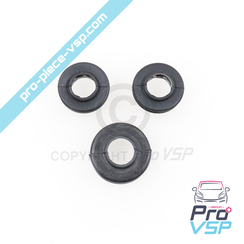 Rear brake caliper kit