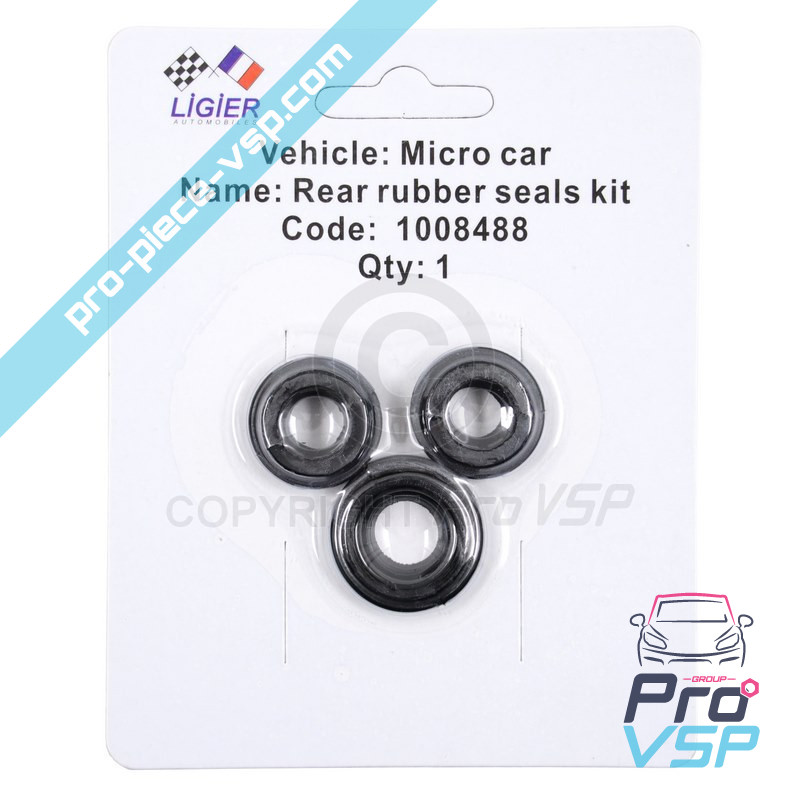 Rear brake caliper kit