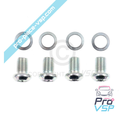 Rear brake disc origin