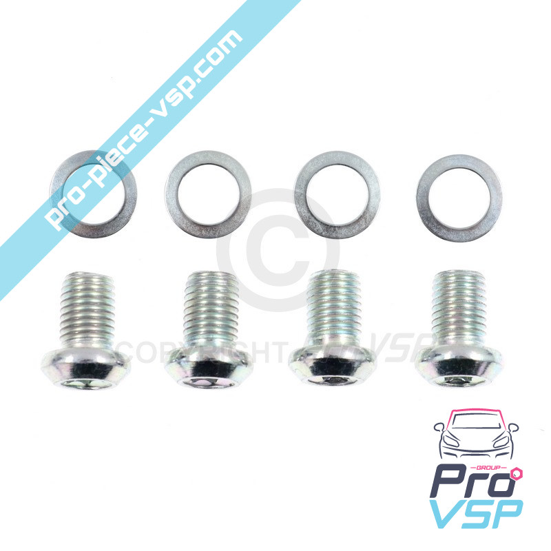 Rear brake disc origin