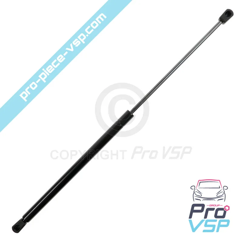 Verin de hayon pour Microcar Mgo 3 4 5 6