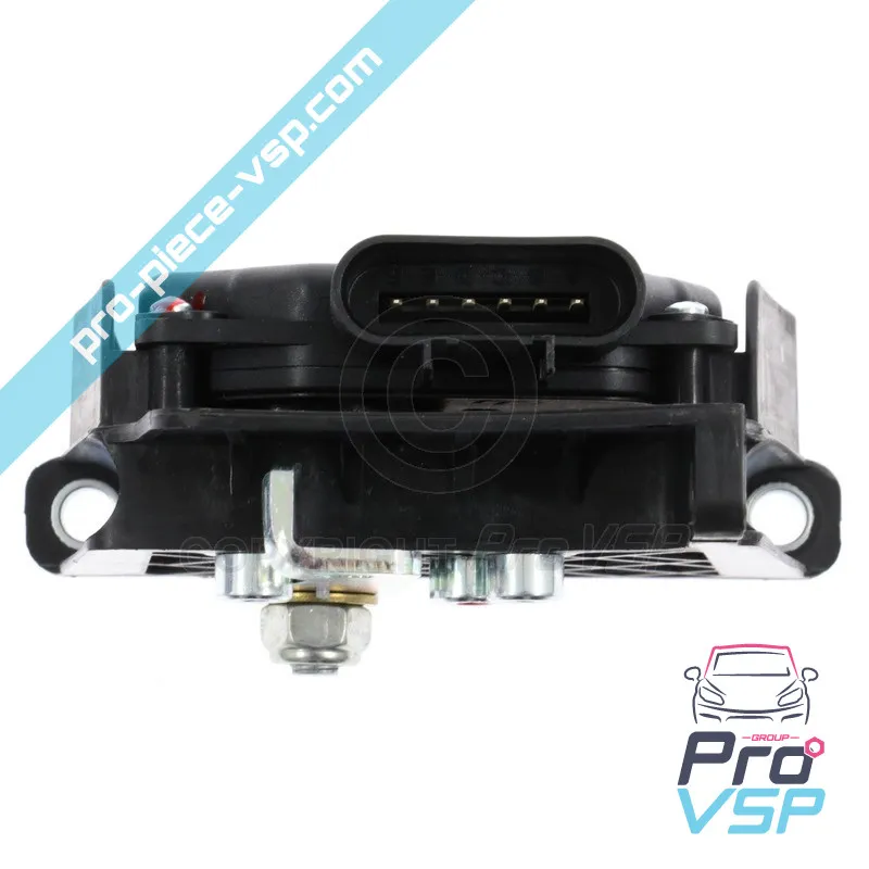 Herkunftsbeschleuniger Potentiometer für Casalini