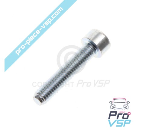 Screw M6 x 30