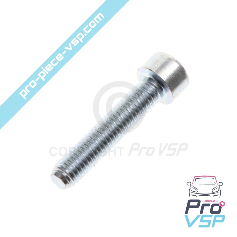 Screw M6 x 30