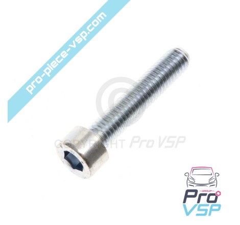 Screw M6 x 30