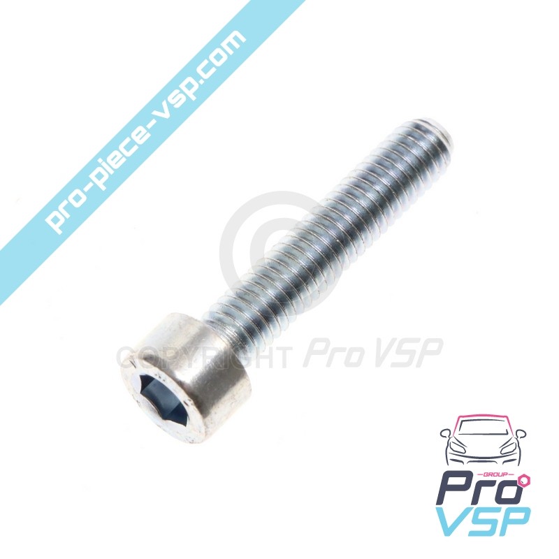 Screw M6 x 30