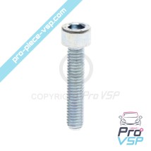 Screw M6 x 30