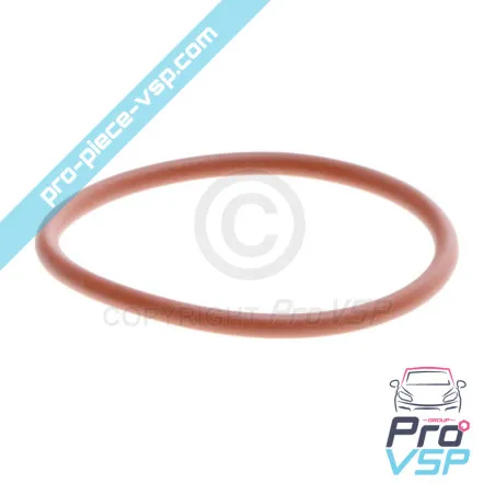 Lombardini Dieselpumpe O-Ring focs