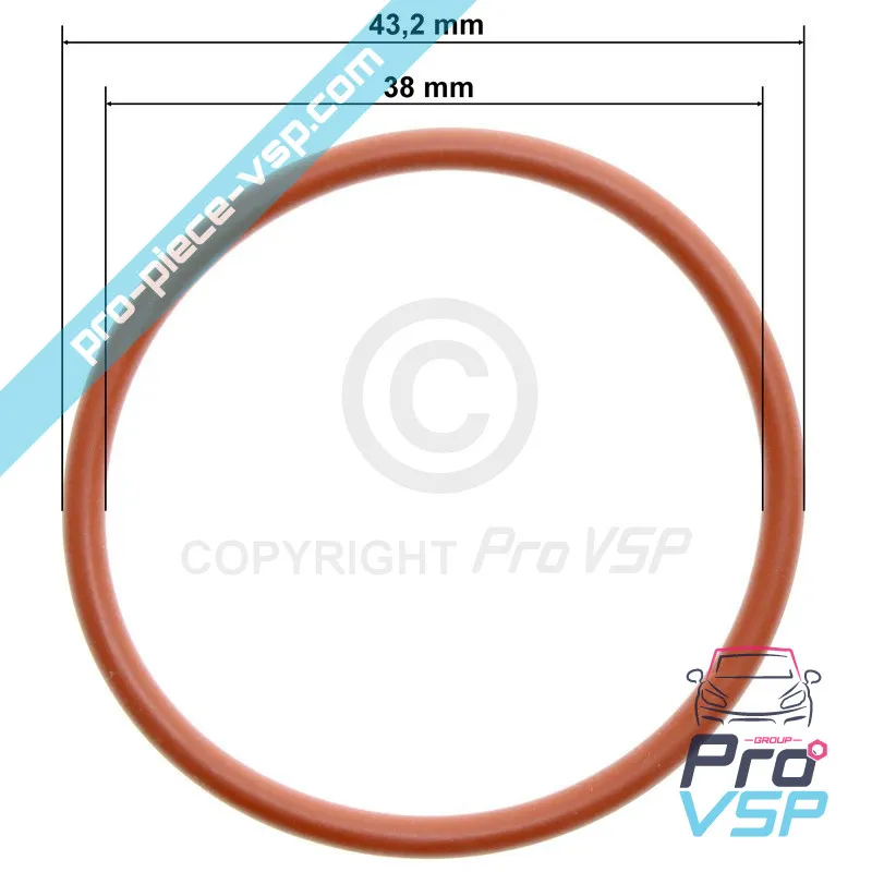 Lombardini Gasoil Pumppu O-Ring focs