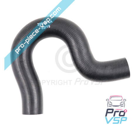 Upper hose