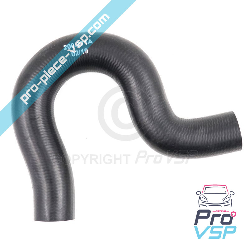 Upper hose
