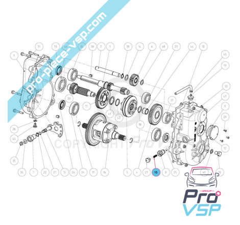 Speed box selector ball spring