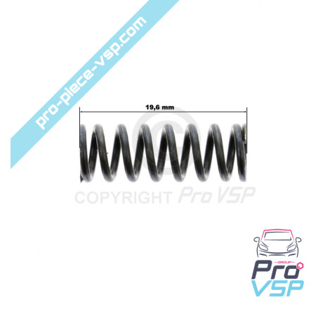 Speed box selector ball spring