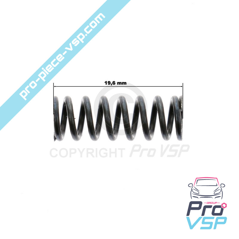 Speed box selector ball spring