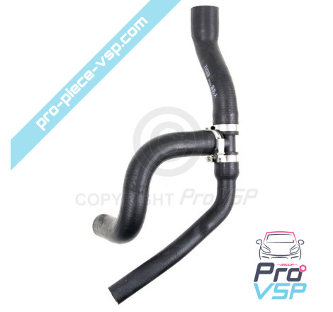 Radiator superior hose