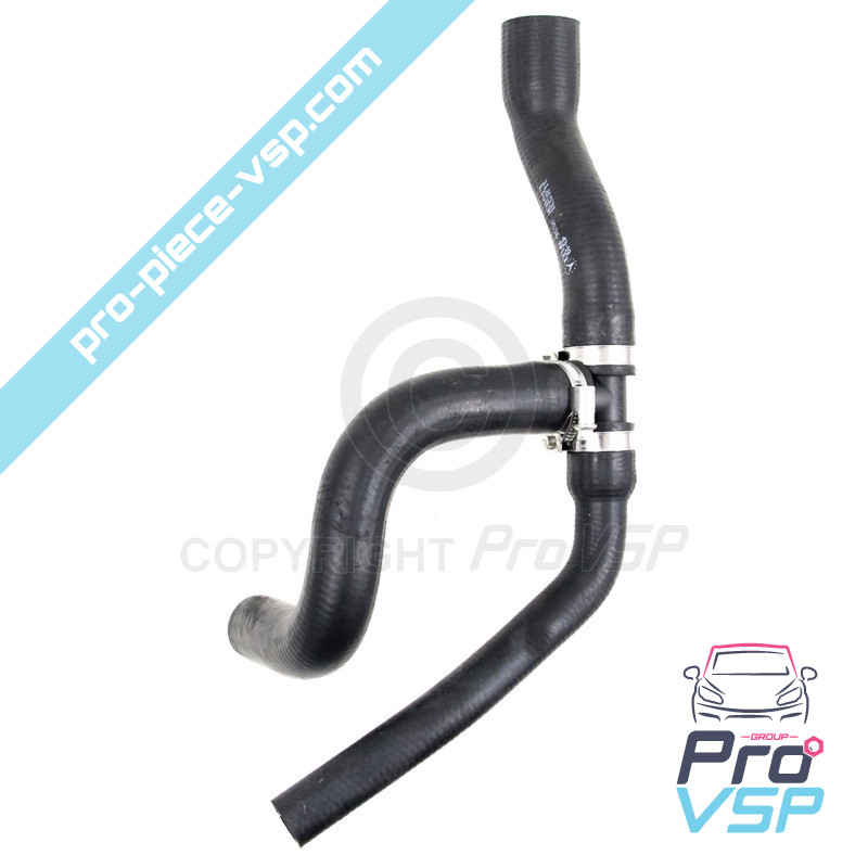 Radiator superior hose