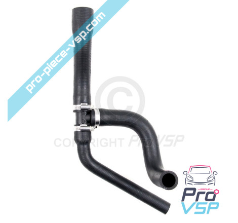 Radiator superior hose