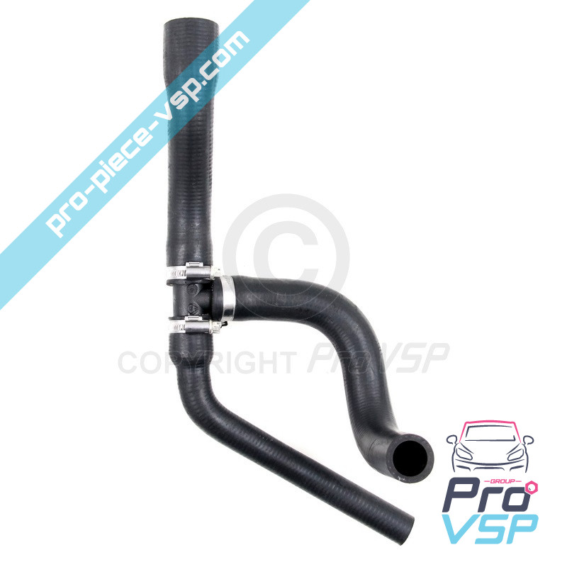 Radiator superior hose