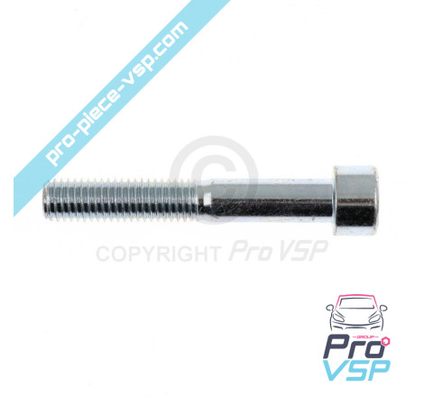 Rear brake caliper screw