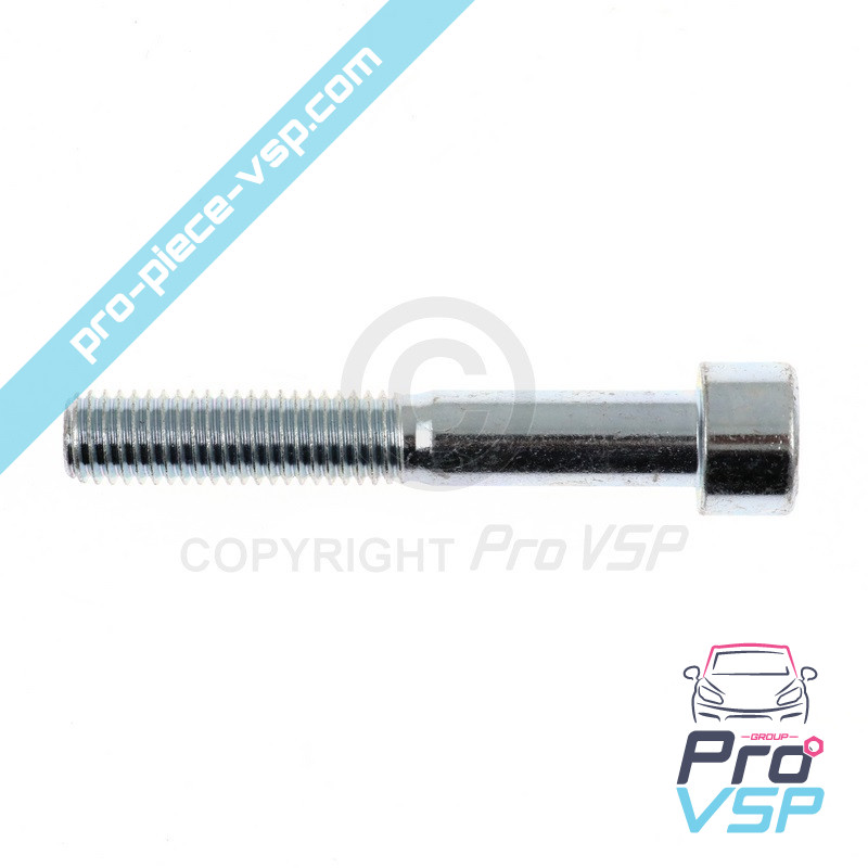 Rear brake caliper screw