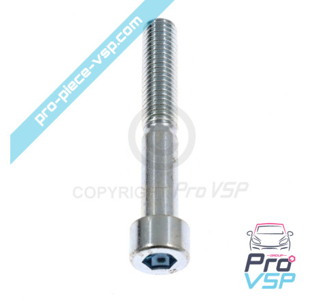 Rear brake caliper screw