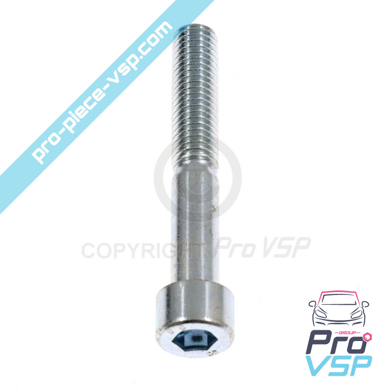 Rear brake caliper screw