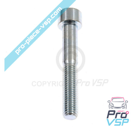 Rear brake caliper screw