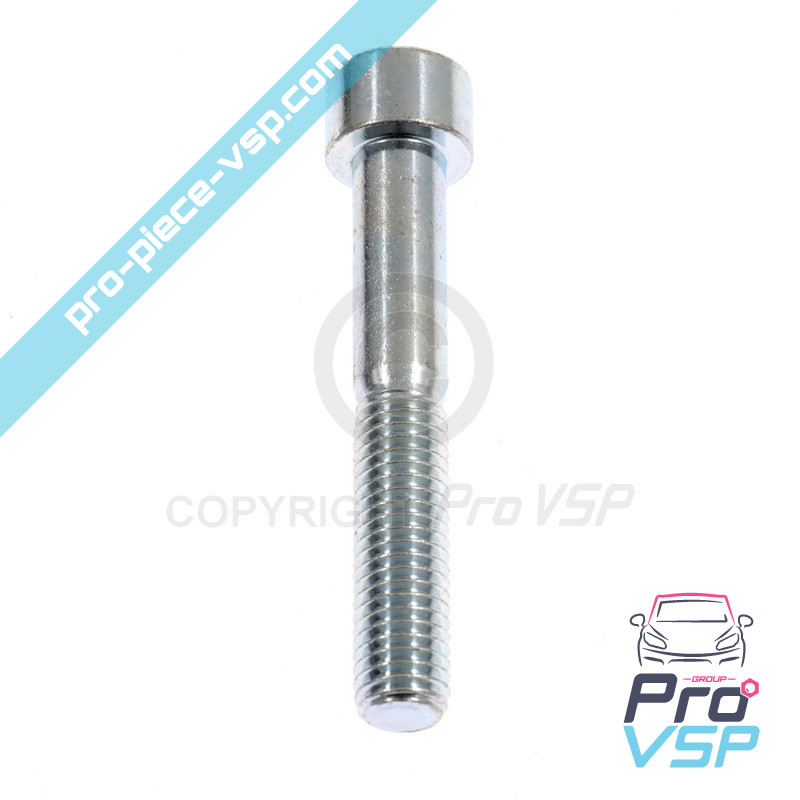 Rear brake caliper screw