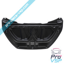 Hood interior panel