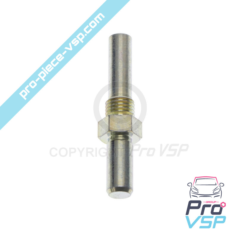 Rear brake caliper