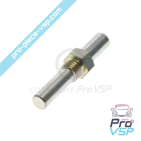 Pinza de freno trasero