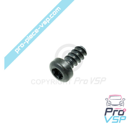 Torx screw