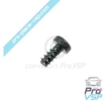 Vite Torx